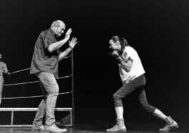 La Cité des arts de la rue