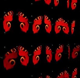 La Cité des arts de la rue